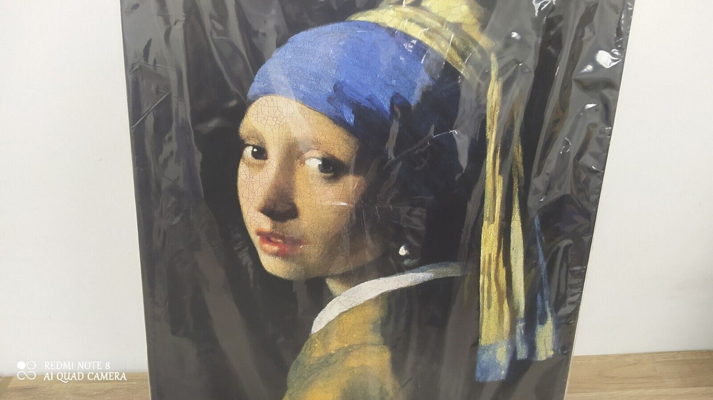 Girl with pearl earring painting in Canvas 40x50 cm