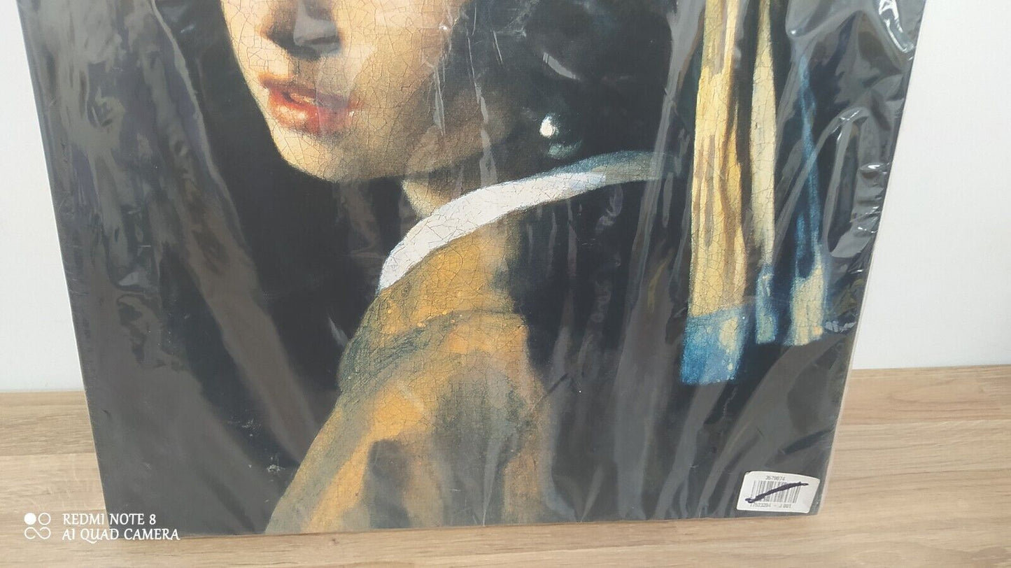 Girl with pearl earring painting in Canvas 40x50 cm